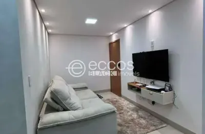 Apartamento à venda, 2 quartos, 1 suíte, 1 vaga, portal do vale - uberlândia/mg