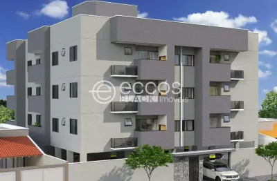 Apartamento à venda, 2 quartos, 1 suíte, 2 vagas, santa mônica - uberlândia/mg