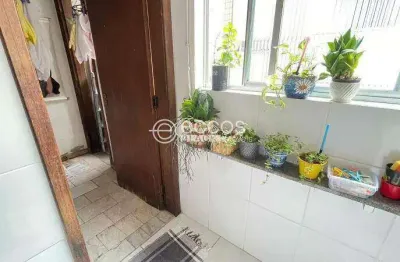 Apartamento à venda, 4 quartos, 1 suíte, 2 vagas, luxemburgo - belo horizonte/mg