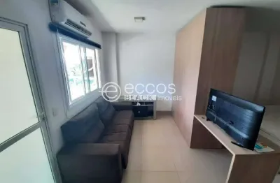 Apartamento para aluguel, 1 quarto, 1 suíte, 1 vaga, morada da colina - uberlândia/mg