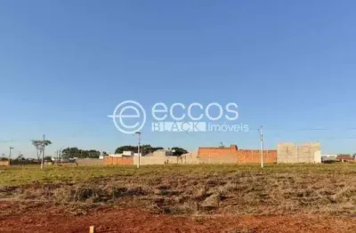 Terreno à venda na Q13 L08, 97, Sibipiruna, Araguari