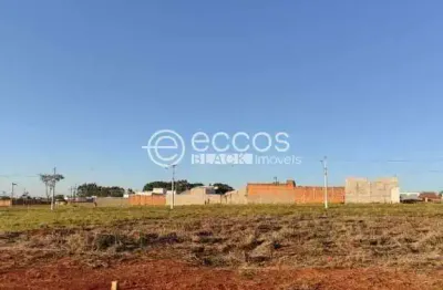 Terreno à venda na Q13 L08, 97, Sibipiruna, Araguari