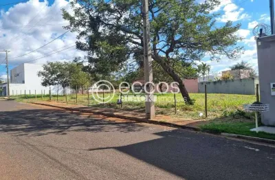 Terreno à venda na Rua Abaeté, 60, Jardim Karaíba, Uberlândia