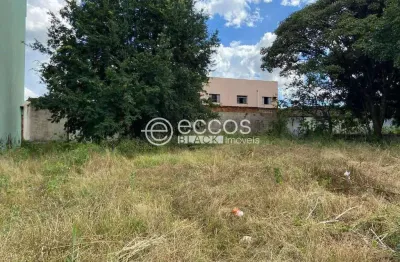 Terreno à venda na Rua Vinícius de Morais, 1328, Universitário, Uberaba