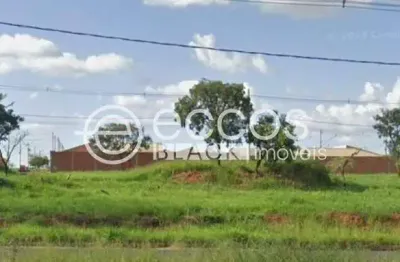 Terreno à venda, loteamento luizote de freitas iv - uberlândia/mg