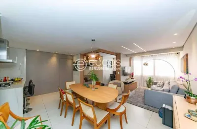 Apartamento à venda, 2 quartos, 2 suítes, 2 vagas, luxemburgo - belo horizonte/mg