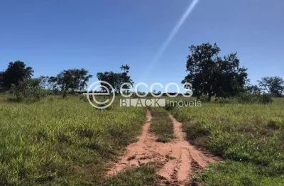 Chácara / sítio com 2 quartos à venda na ÁRea Rural Do Municipio Prata, 62, Zona Rural, Prata