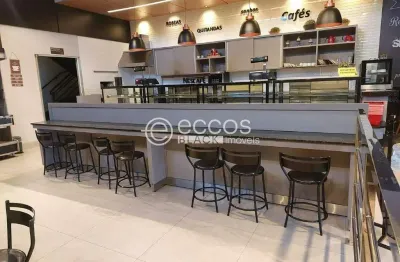 Ponto comercial para alugar na Avenida Ubirajara Zacharias, 967, Novo Mundo, Uberlândia