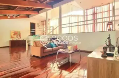 Casa à venda, 4 quartos, 2 suítes, 4 vagas, vigilato pereira - uberlândia/mg