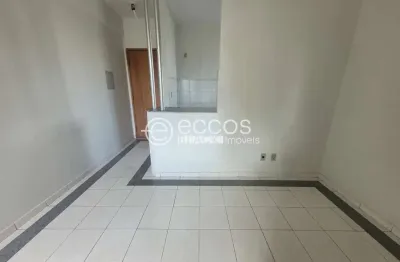 Apartamento para aluguel, 2 quartos, 1 suíte, 2 vagas, saraiva - uberlândia/mg