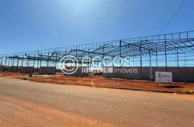 Galpão para aluguel, loteamento centro empresarial leste i - uberlândia/mg
