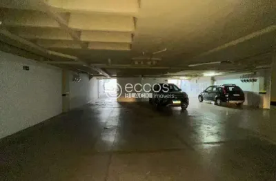Apartamento à venda, 2 quartos, 2 suítes, 2 vagas, santo antônio - belo horizonte/mg