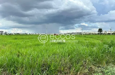 Terreno em condomínio fechado à venda na Rua Dos Viburnos, 77, Jardim Sul, Uberlândia