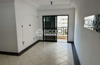 Apartamento para aluguel, 3 quartos, 1 suíte, 2 vagas, patrimônio - uberlândia/mg