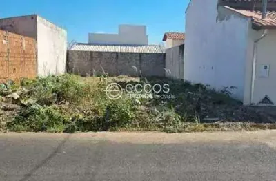 Terreno comercial à venda na Rua Sonilda Costa Ribeiro, 105, Brasília, Araguari