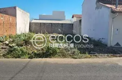 Terreno comercial à venda na Rua Sonilda Costa Ribeiro, 105, Brasília, Araguari