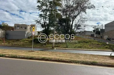 Terreno comercial à venda na Rua dos Cravos, 139, Cidade Jardim, Uberlândia