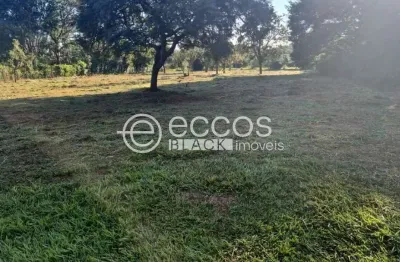 Terreno comercial à venda na Rua Bauhínia, 112, Morada do Sol, Uberlândia