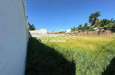 Terreno comercial à venda na Rua Aruá, 687, Jardim Karaíba, Uberlândia