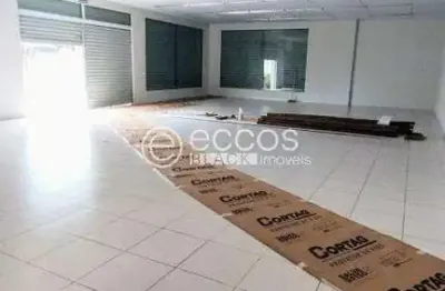 Imóvel comercial para aluguel, novo mundo - uberlândia/mg