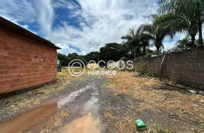 Terreno comercial à venda na Rua das Paineiras, 75, Panorama, Uberlândia