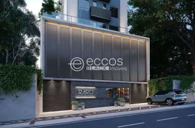 Apartamento à venda, 2 quartos, 1 suíte, 2 vagas, lourdes - belo horizonte/mg