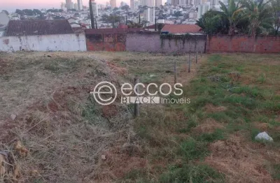 Terreno comercial à venda na Rua Abdala Attiê, 175, Vigilato Pereira, Uberlândia