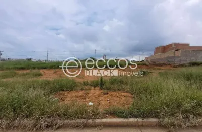 Terreno comercial à venda na Alameda Dos Jurunas, 65, Alto Umuarama, Uberlândia