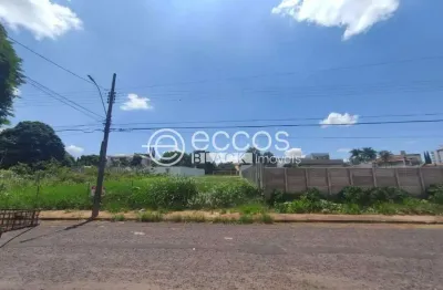 Terreno comercial à venda na Rua dos Canarinhos, 755, Cidade Jardim, Uberlândia