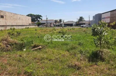 Terreno comercial à venda na Rua Irmã Margarida, 325, Bosque, Araguari