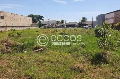 Terreno comercial à venda na Rua Irmã Margarida, 325, Bosque, Araguari