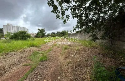 Terreno comercial à venda na Alameda Jardim Holanda, 94, Jardim Holanda, Uberlândia