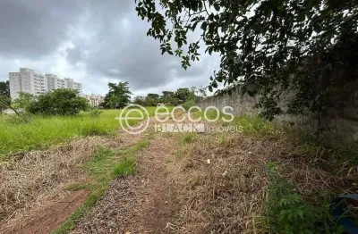 Terreno comercial à venda na Alameda Jardim Holanda, 94, Jardim Holanda, Uberlândia