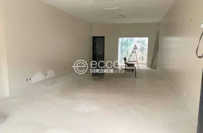Imóvel comercial para aluguel, lídice - uberlândia/mg