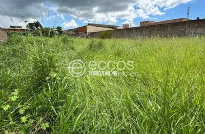 Terreno comercial à venda na Avenida Niza Marquez Guaritá, 742, Lourdes, Uberaba