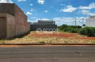 Terreno comercial à venda na Rua Basílio Da Gama, 100, Novo Mundo, Uberlândia
