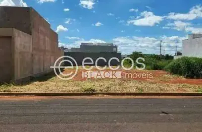 Terreno comercial à venda na Rua Basílio Da Gama, 100, Novo Mundo, Uberlândia