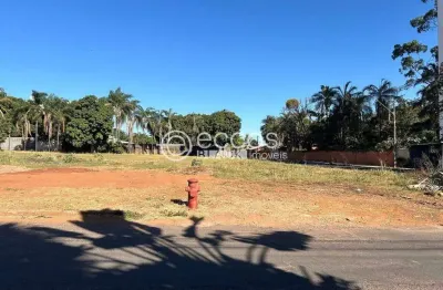 Terreno à venda, chácaras tubalina e quartel - uberlândia/mg