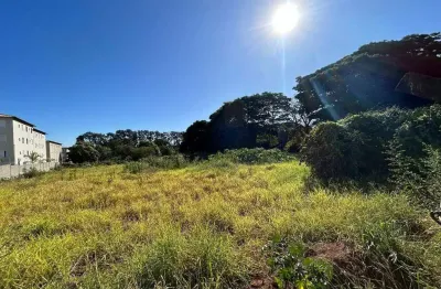 Terreno comercial à venda na Rua Antônio Domingues, 87, Chácaras Tubalina e Quartel, Uberlândia
