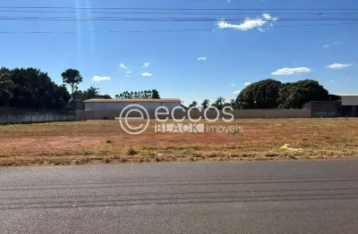 Terreno comercial à venda na Rua das Palmeiras, 64, Morada dos Pássaros, Uberlândia