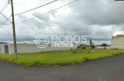 Terreno comercial à venda na Rua Carlos da Silveira, 289, Jardim Sul, Uberlândia