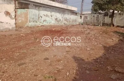 Terreno comercial à venda na Rua Ipiranga, 307, Cazeca, Uberlândia