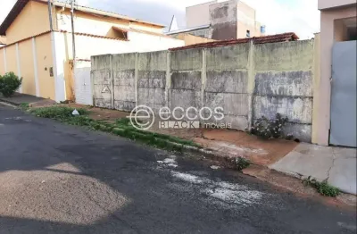 Terreno comercial à venda na Rua Niterói, 381, Bom Jesus, Uberlândia