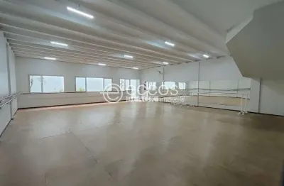 Imóvel comercial para aluguel, lídice - uberlândia/mg