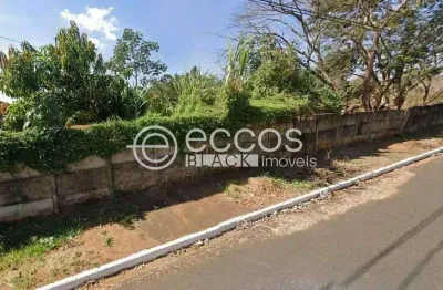 Terreno comercial à venda na Avenida Pedro Lucas, 362, Fabrício, Uberaba