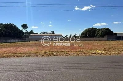 Terreno comercial à venda na Rua das Palmeiras, 62, Morada dos Pássaros, Uberlândia