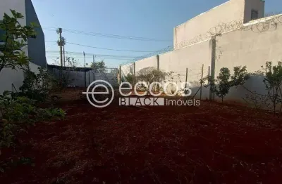 Terreno comercial à venda na Avenida Anselmo Alves dos Santos, 3420, Santa Mônica, Uberlândia
