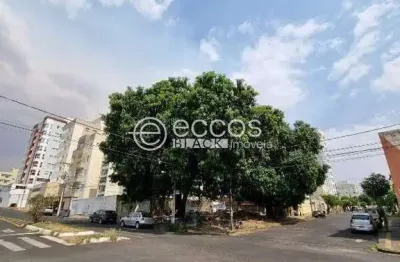 Terreno comercial à venda na Rua João Pereira da Silva, 324, Conjunto Segismundo Pereira, Uberlândia