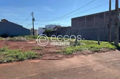 Terreno comercial à venda na Rua Gonçalo Alves, 86, Residencial Integração, Uberlândia