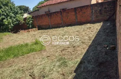 Terreno comercial à venda na Rua Bulgária, 207, Recanto das Torres, Uberaba